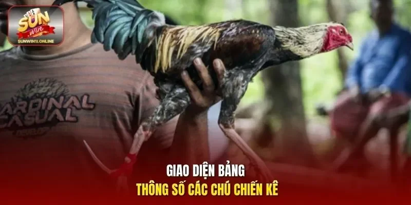 Đá Gà Campuchia - Khám Phá Trò Chơi Cá Cược Đỉnh Cao 2026 3 Sunwin Giao diện bảng thông số các chú chiến kê